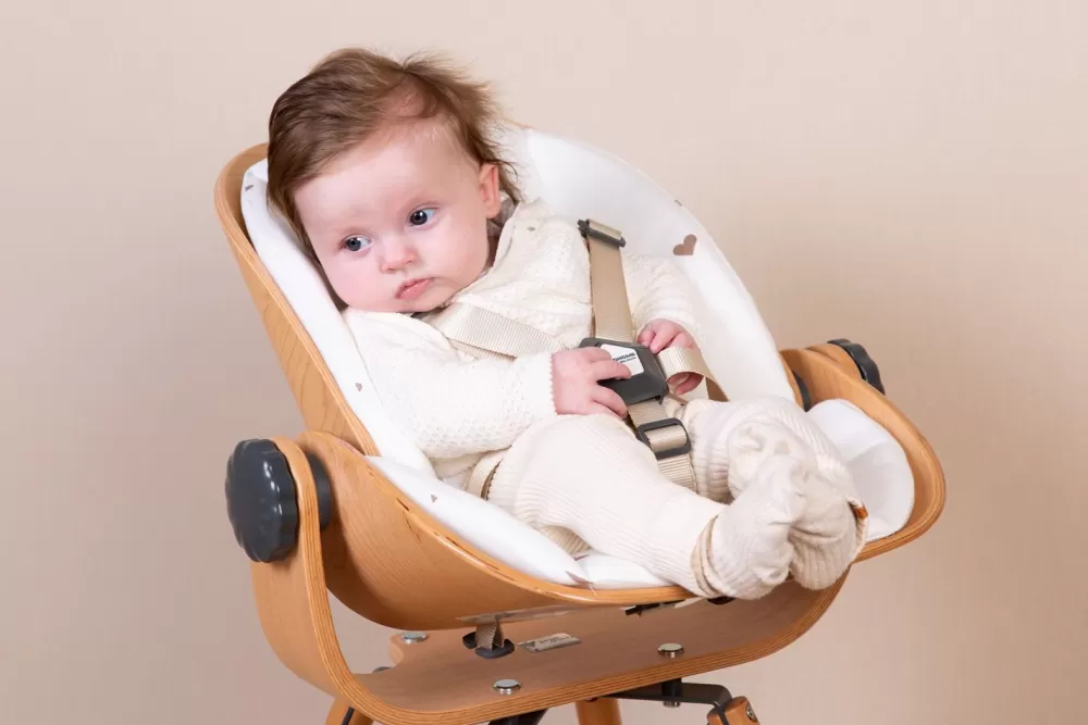 Hot Childhome Evolu Newborn Seat Voor Evolu 2 + One.80° - Hout - Naturel Antraciet